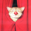 c 1995 kunio sato   red nose cat